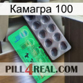 Камагра 100 new04